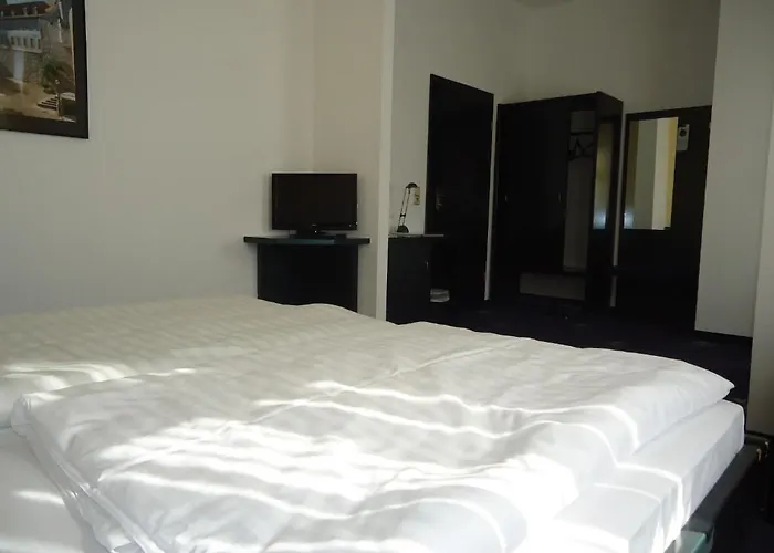 Pensionat Schweizer Hof 3*