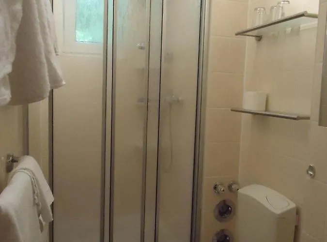 Schweizer Hof Pensionat 3*